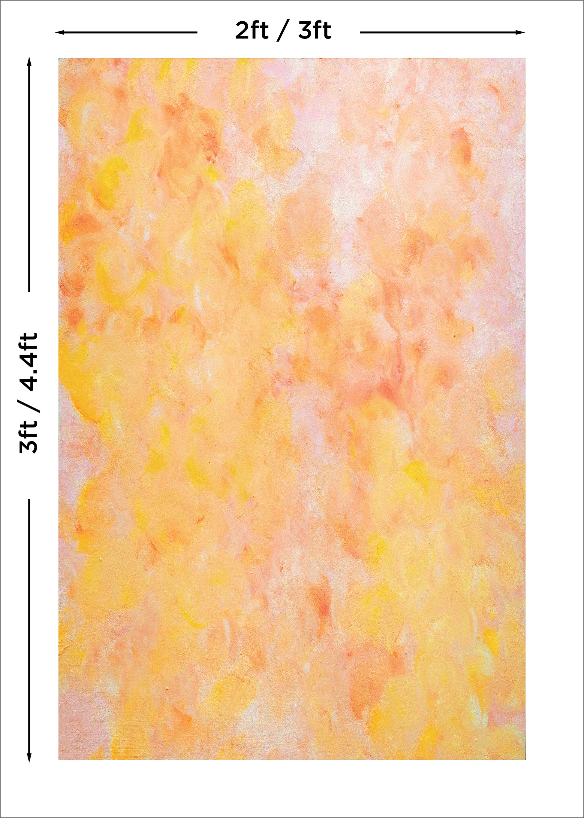 Sorbet Photo Backdrop Main