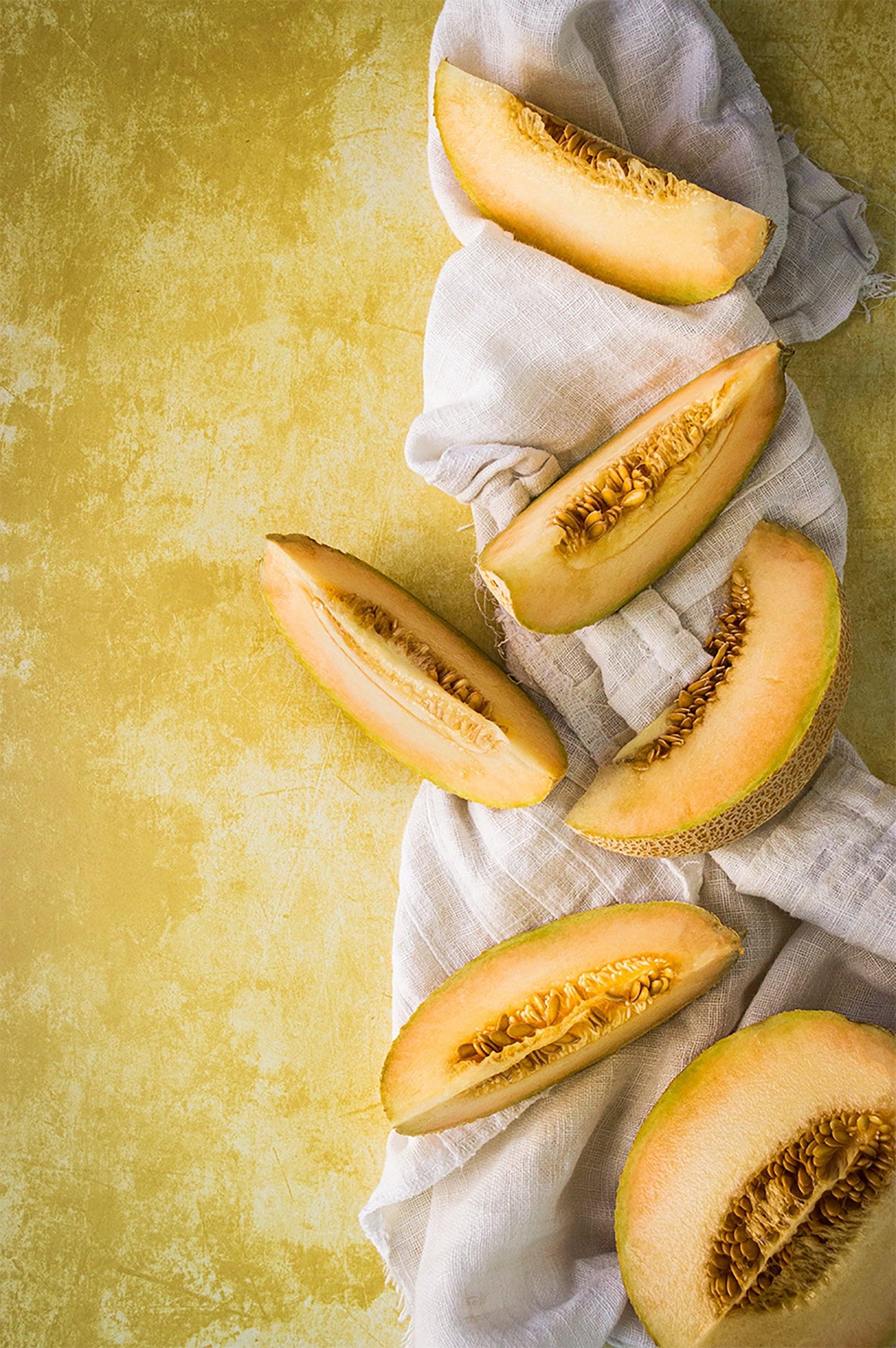 Photography Backdrop | Sunflower