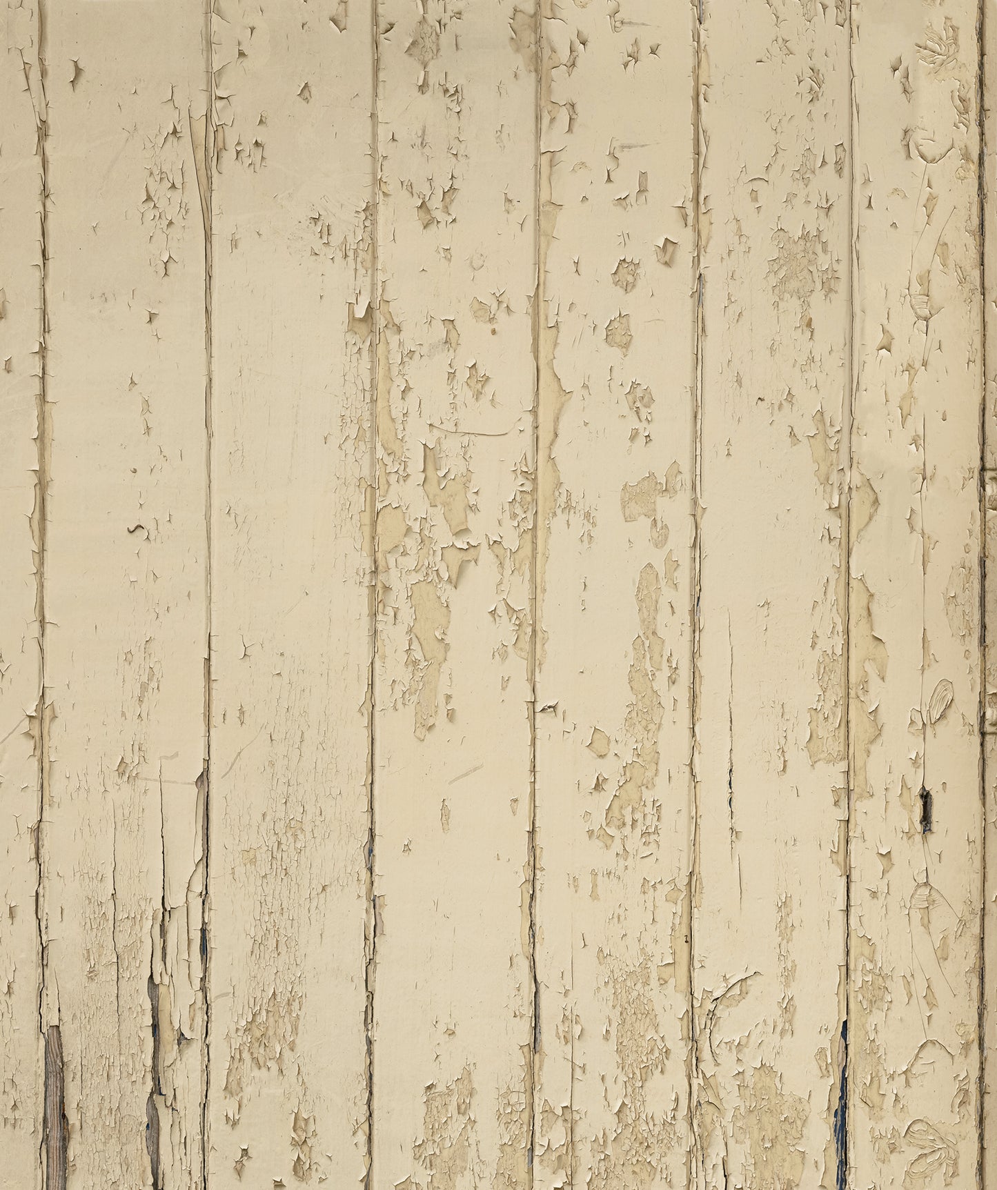 The Old School House Door