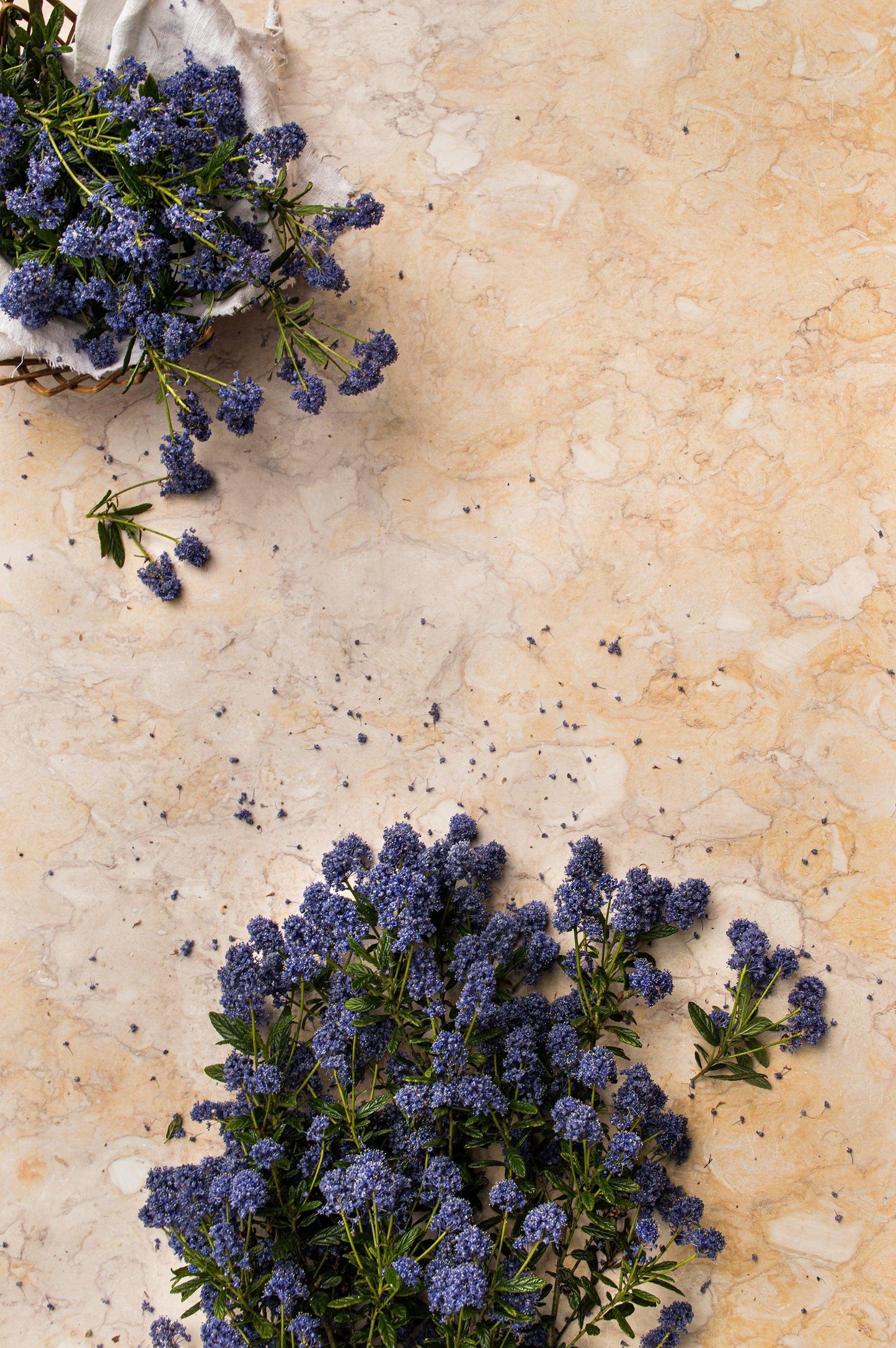 Photography Backdrop | Venice Marble