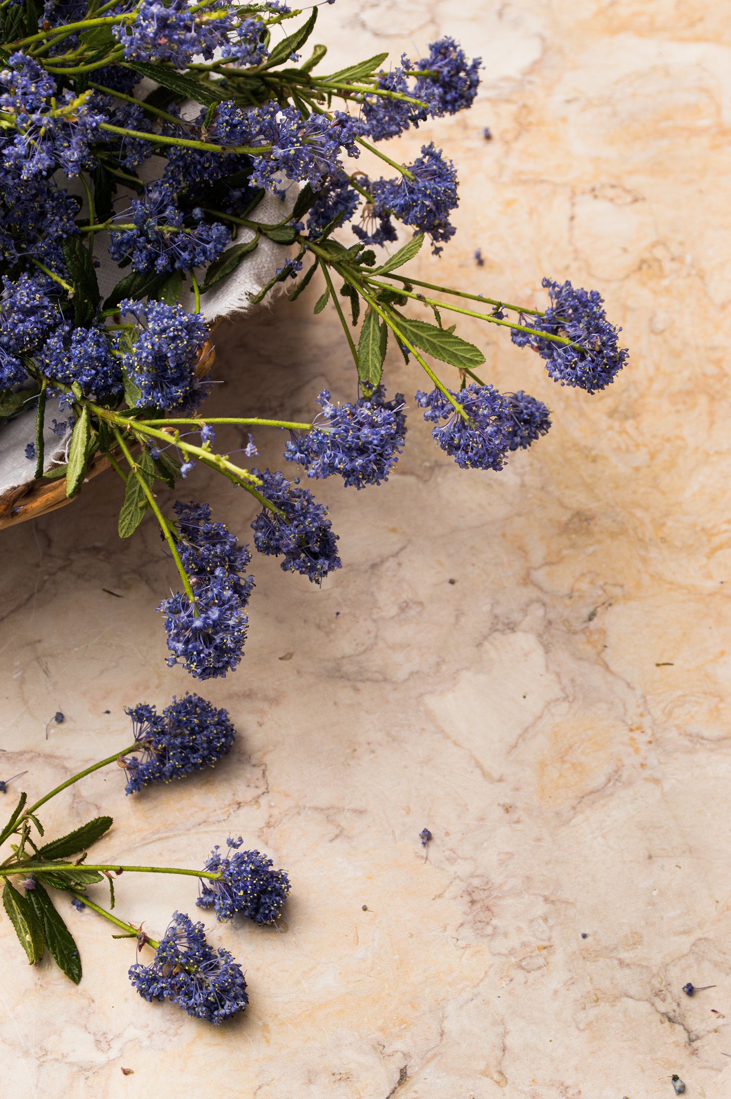 Venice Marble