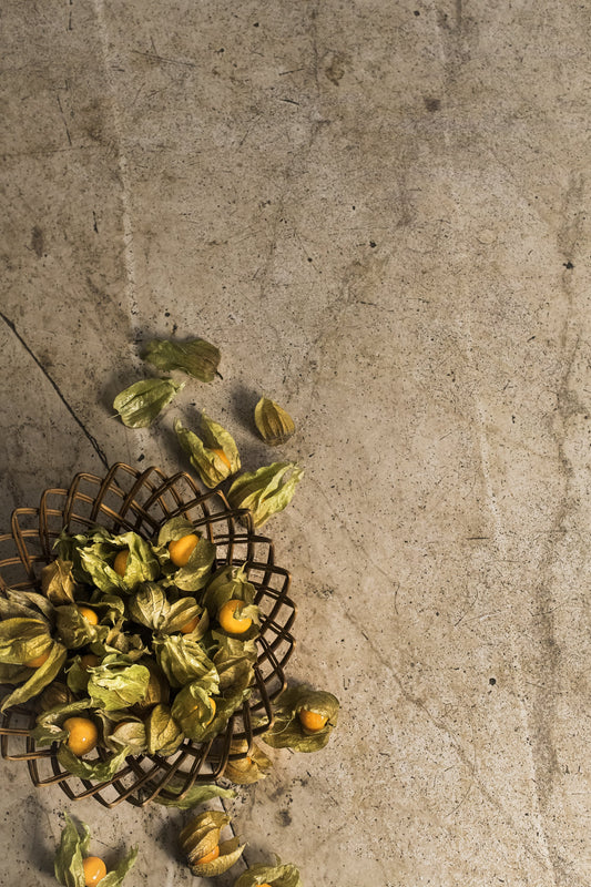 Photography Backdrop | Verona