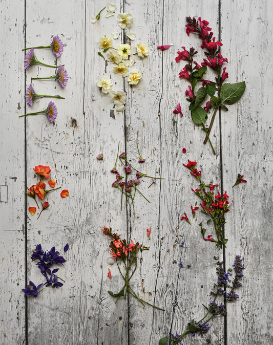 Workshop White Photo Backdrop