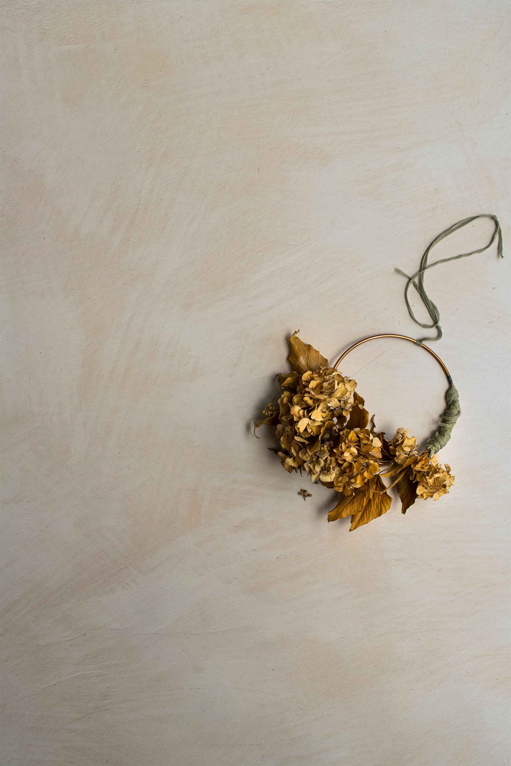 Photography Backdrop | Florence