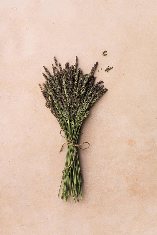 Photography Backdrop | Nectar