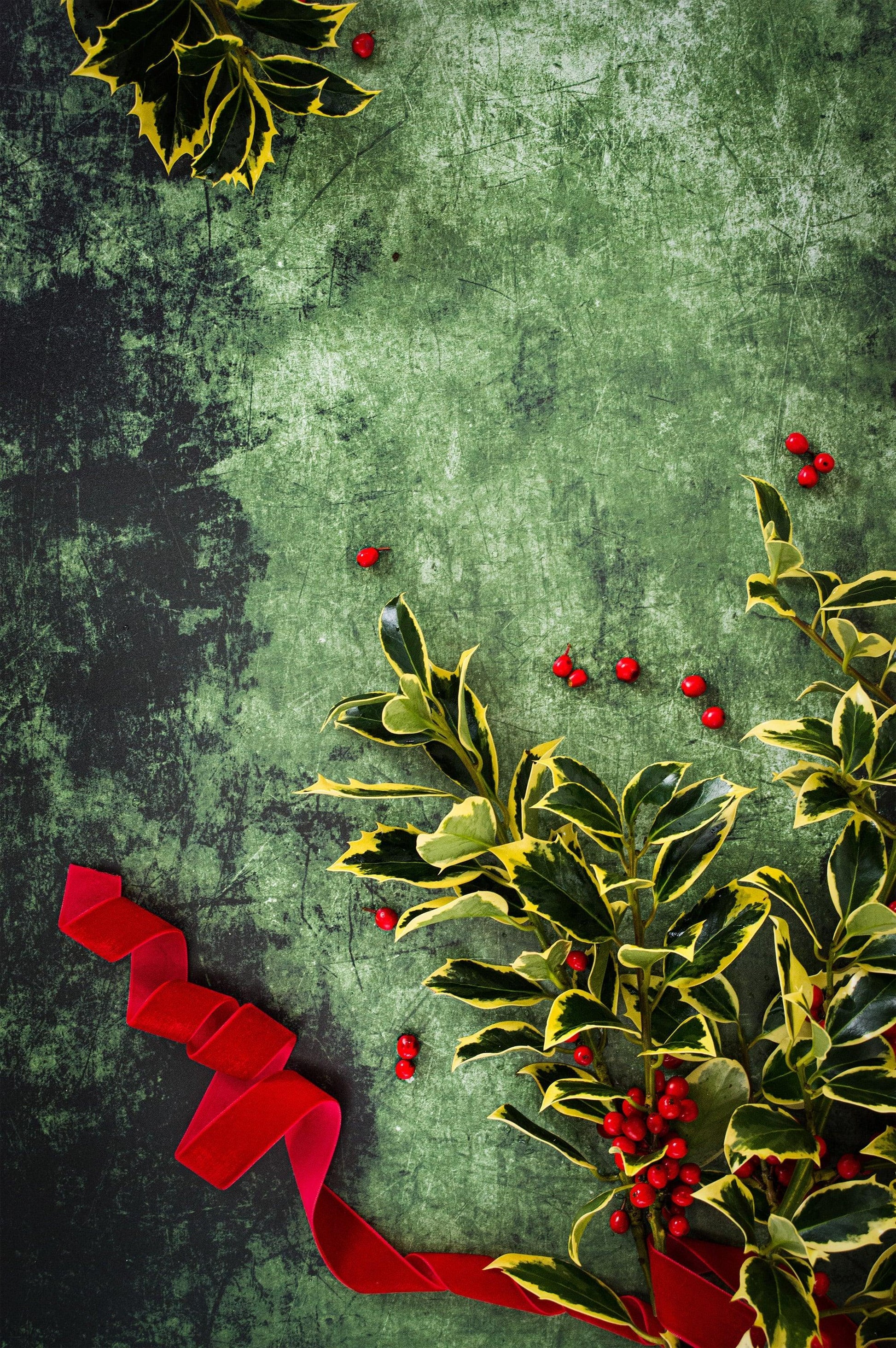 Photography Backdrop | Forest Green