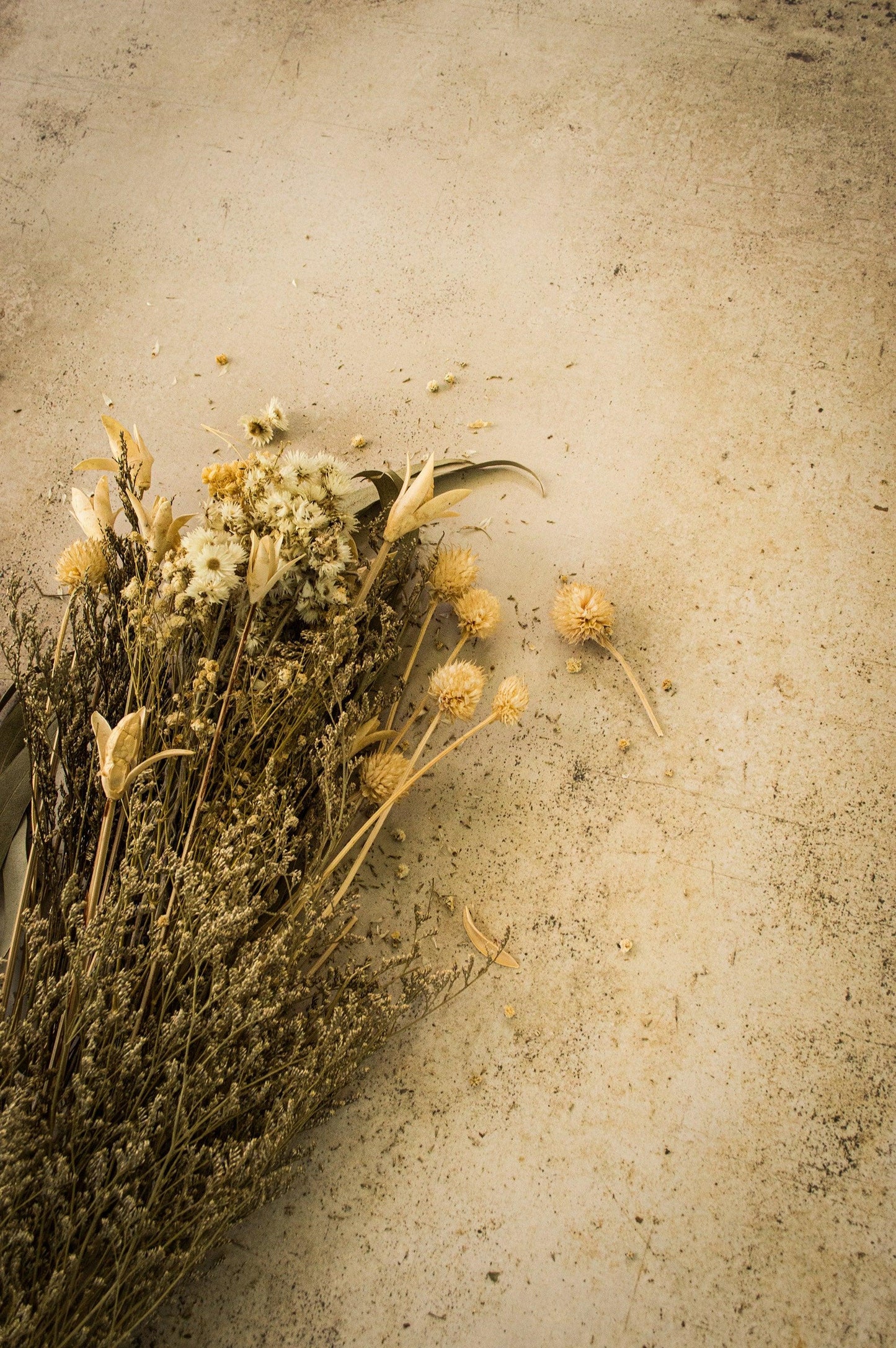 Photography Backdrop | Old Bakehouse Tray