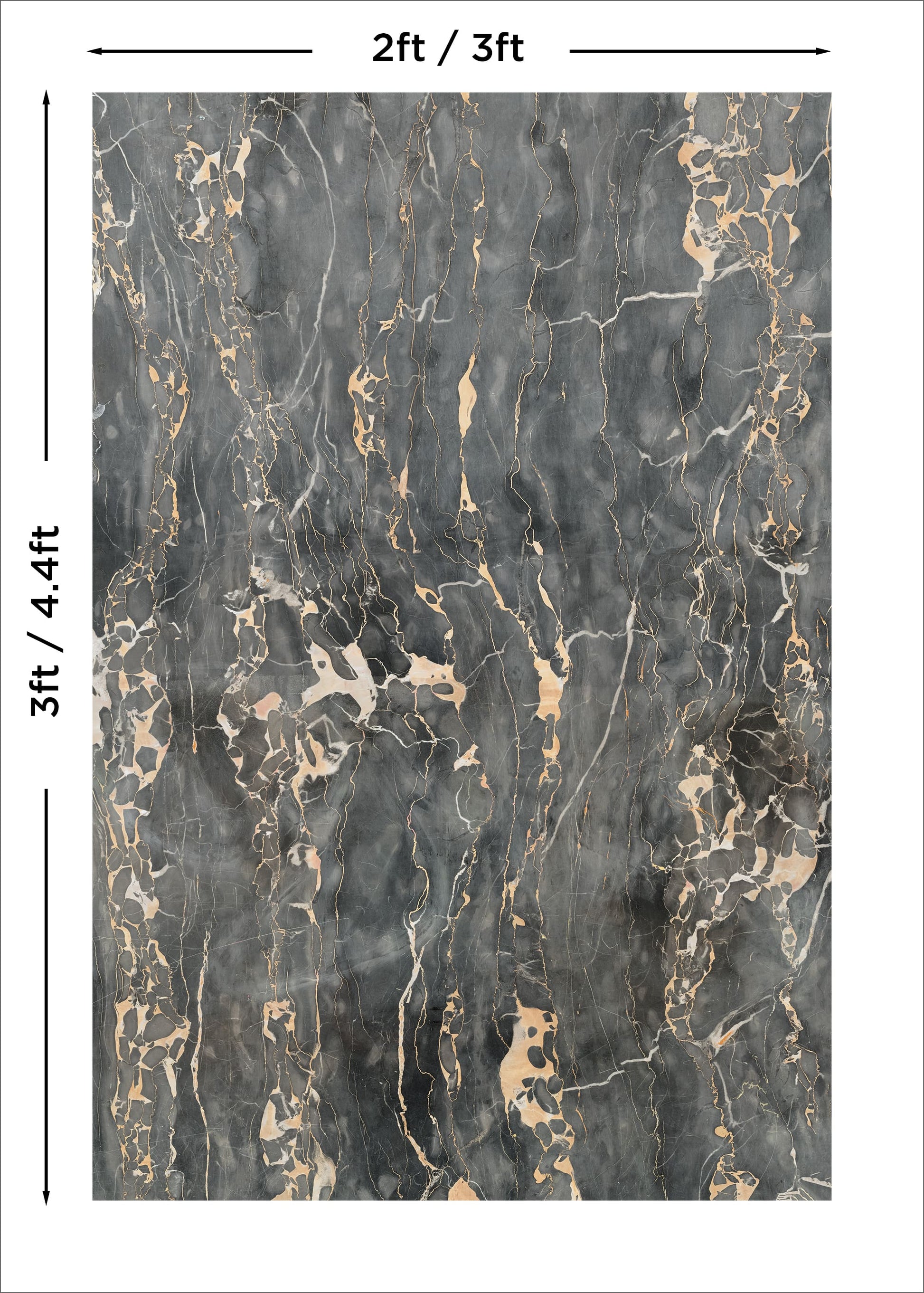 Black and Gold Photo Backdrop